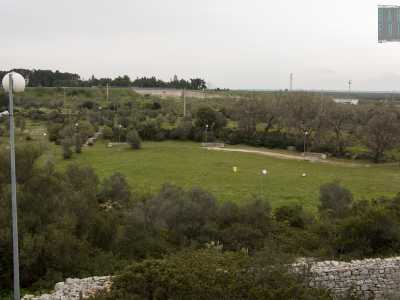 Riusciamo per� a scalarlo, per ritrovarci ad ammirare dalla sua sommit� l�intera prateria ormai dimenticata da tutti